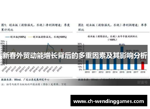 新春外贸动能增长背后的多重因素及其影响分析 新春外贸动能增长背后的多重因素及其影响分析