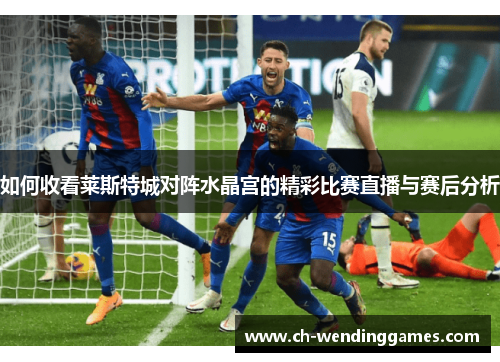 如何收看莱斯特城对阵水晶宫的精彩比赛直播与赛后分析